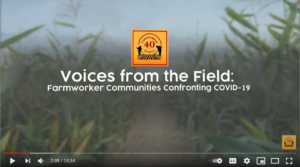 Thumbnail of Video “Voices from the Field: Farmworker Communities Confronting COVID-19”